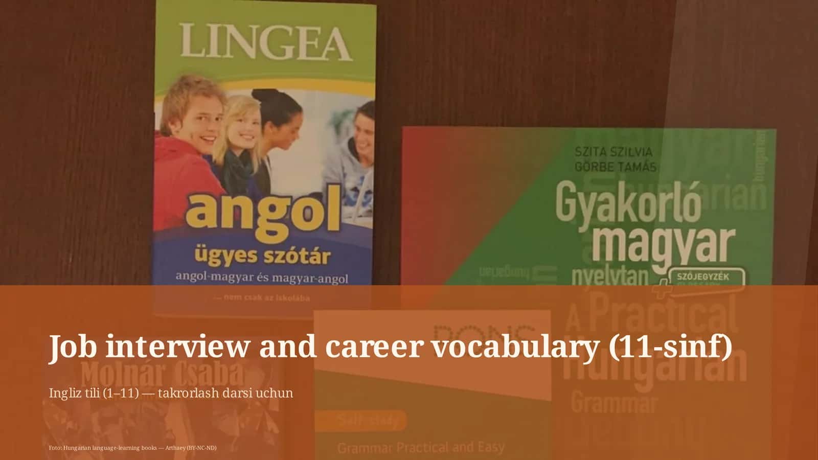 Job interview and career vocabulary (11-sinf)