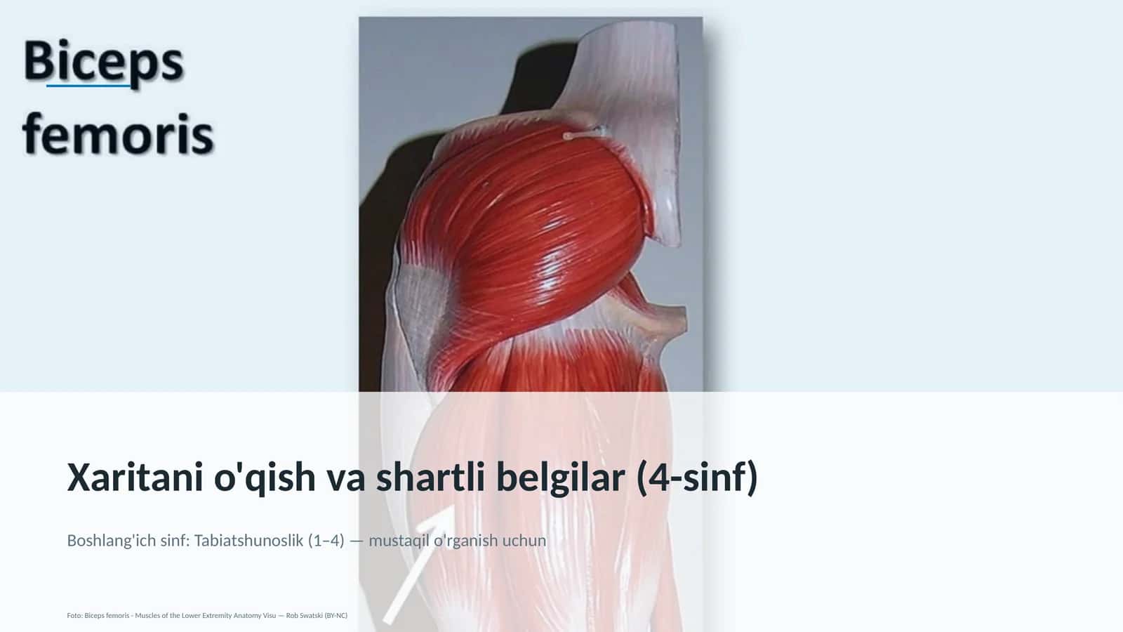 Xaritani o'qish va shartli belgilar (4-sinf)