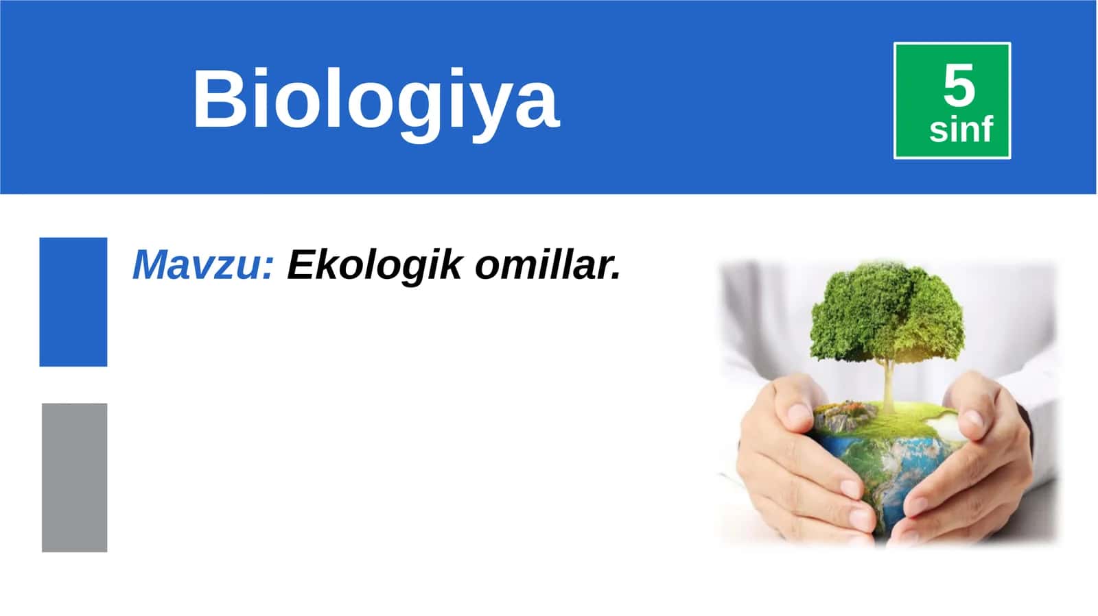 Ekologikomillar