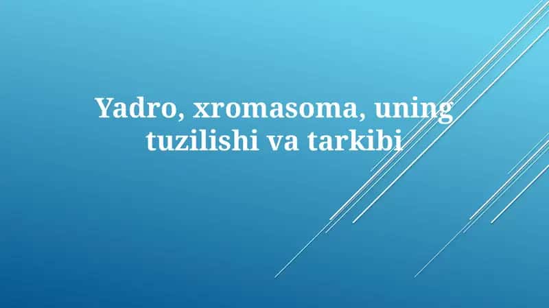 Yadro
