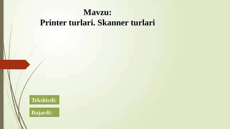 Printer turlari. Skanner turlari