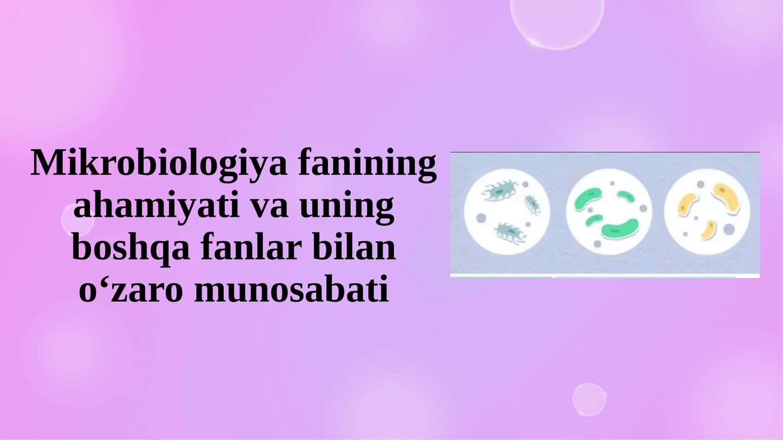 Mikrobiologiya fanining ahamiyati va uning boshqa fanlar bilan o‘zaro munosabati