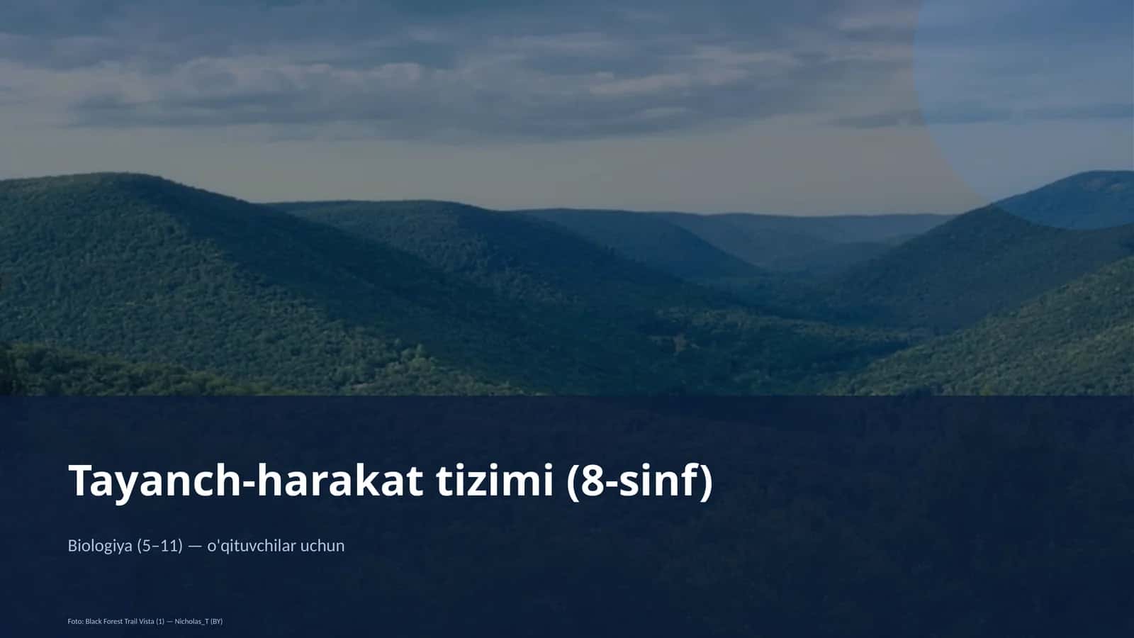 Tayanch-harakat tizimi (8-sinf)