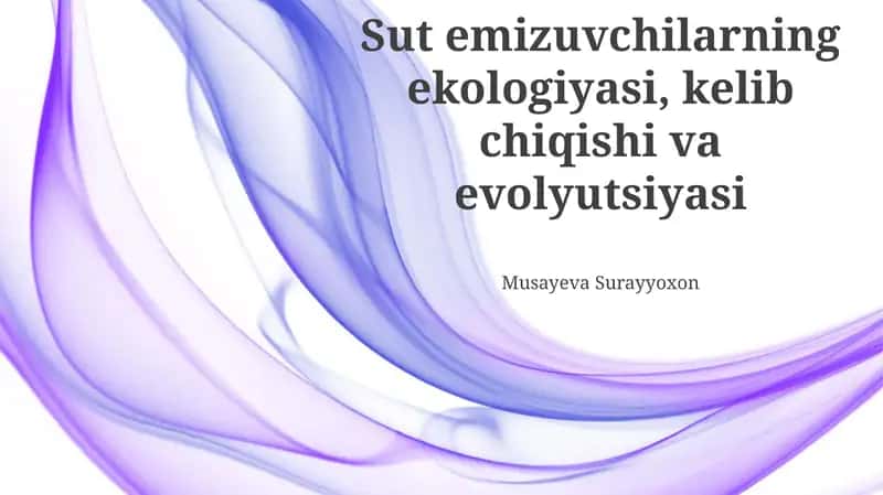 Platsentali sutemizuvchilarning kelib chiqishi va evolyutsiyasi