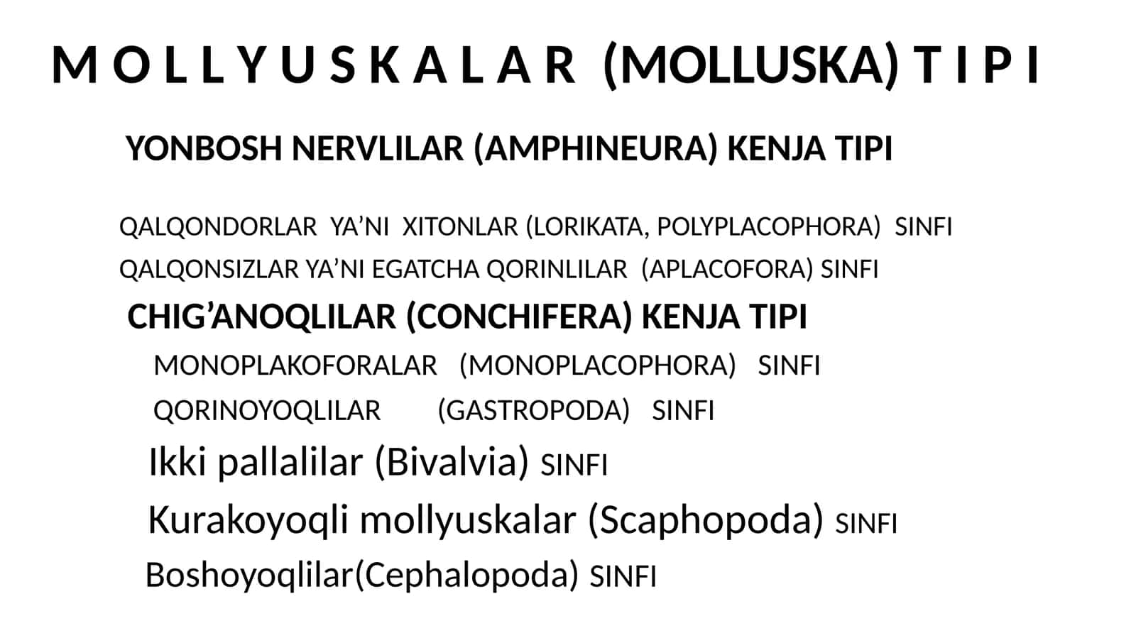 MOLLYUSKALAR(Mollusca)