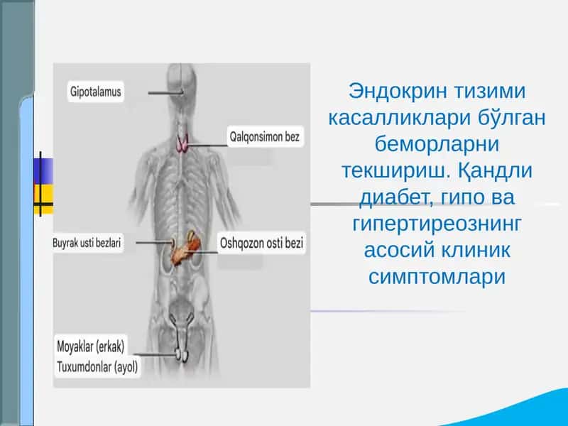 Эндокрин тизими касалликлари