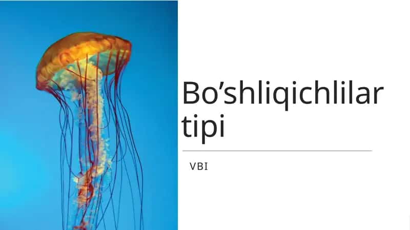 Bo’shliqichlilar tipi