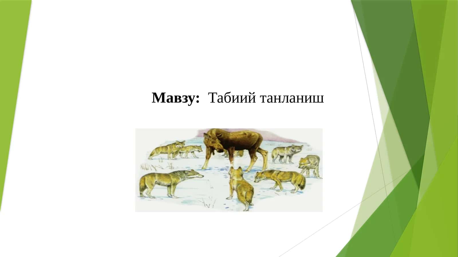 Табиий танланиш