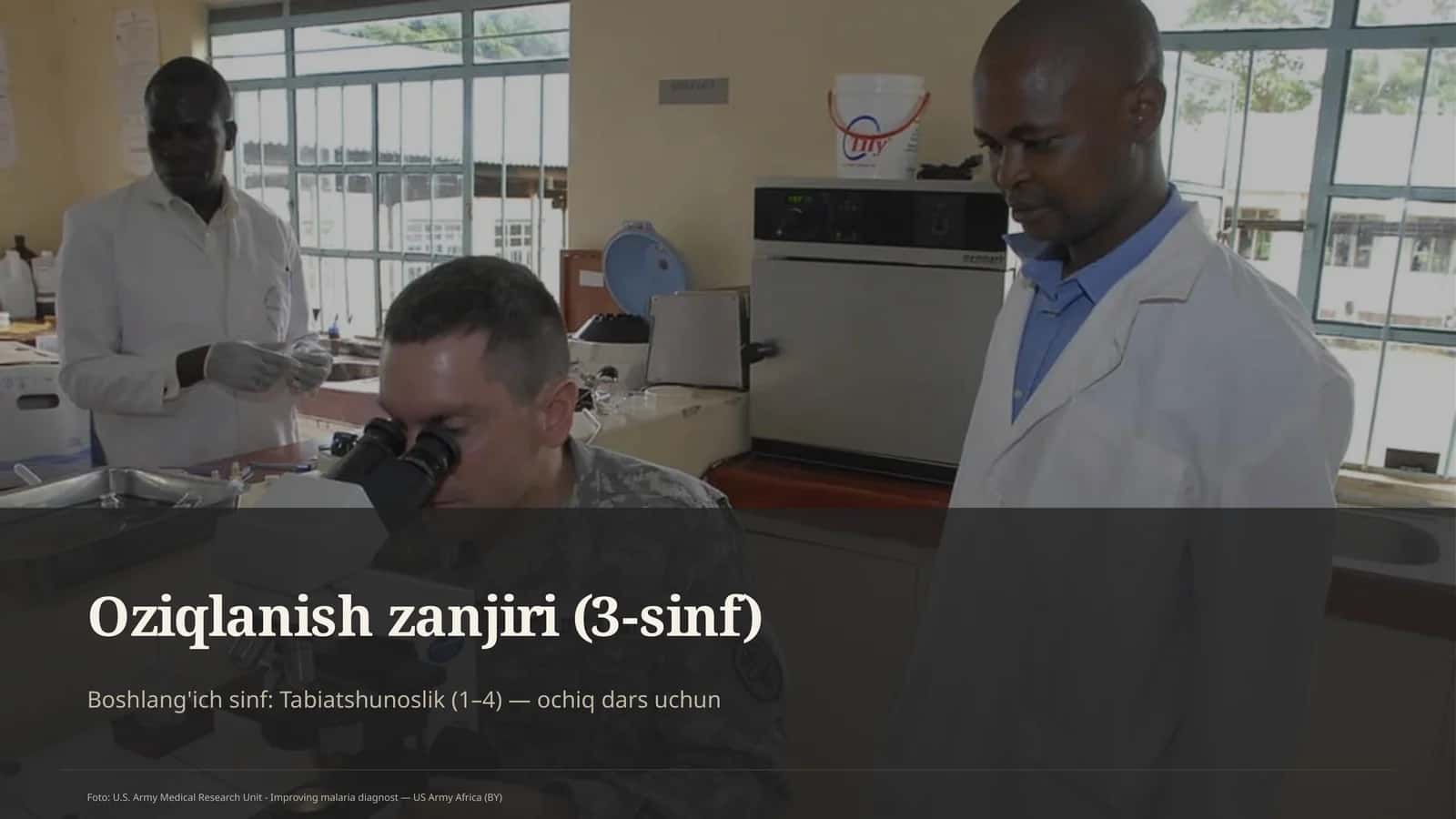 Oziqlanish zanjiri (3-sinf)