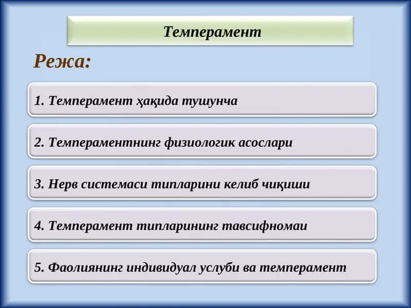 Темперамент