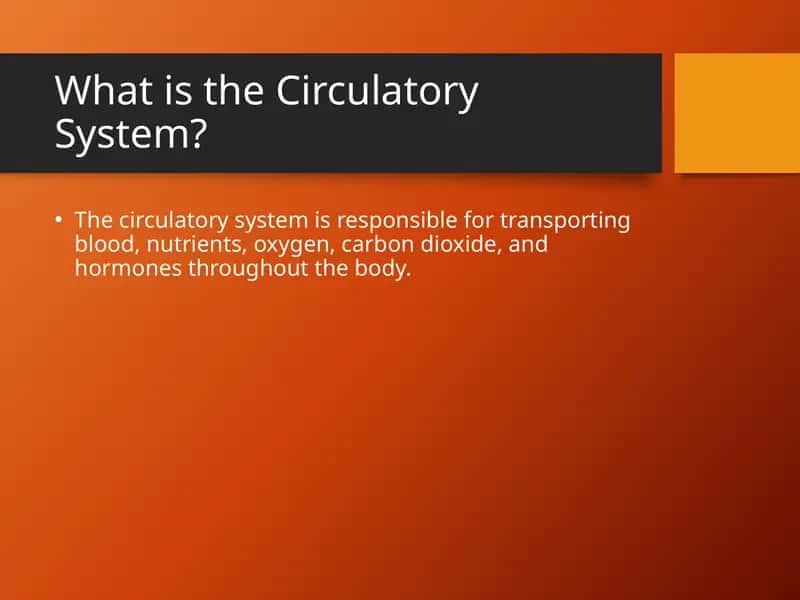 Circulatory System