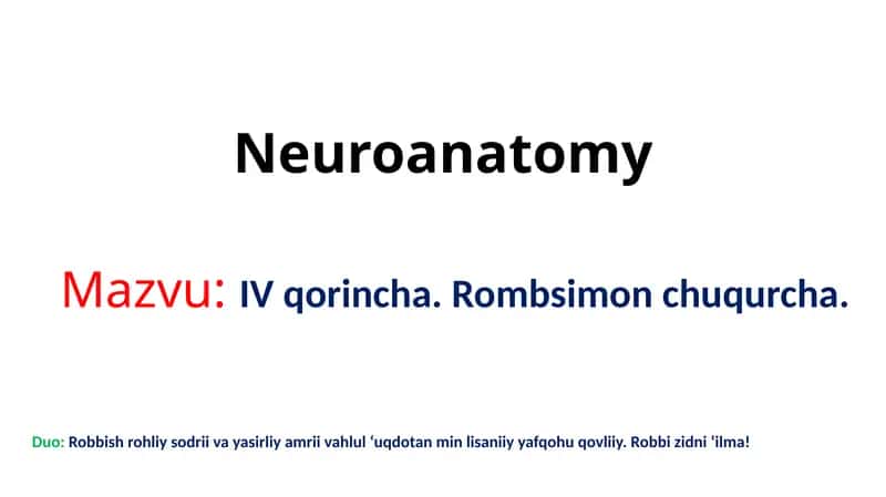 IV qorincha. Rombsimon chuqurcha.