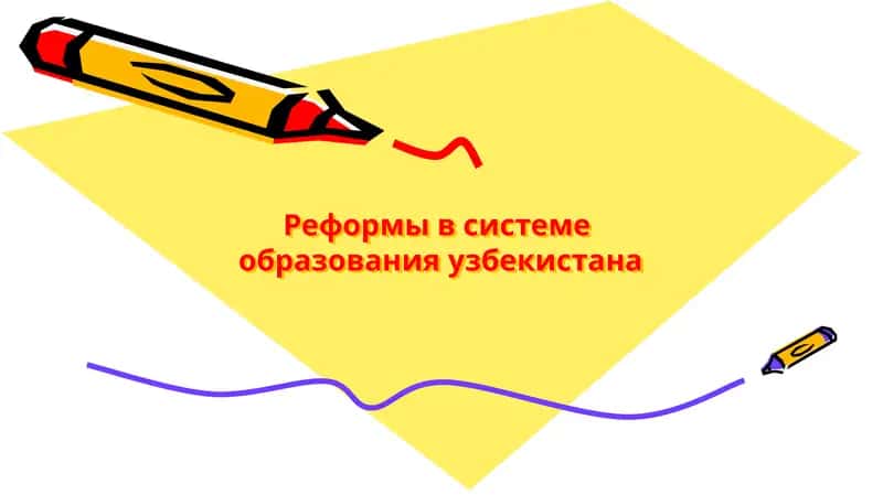 Реформы в системе образования Узбекистана