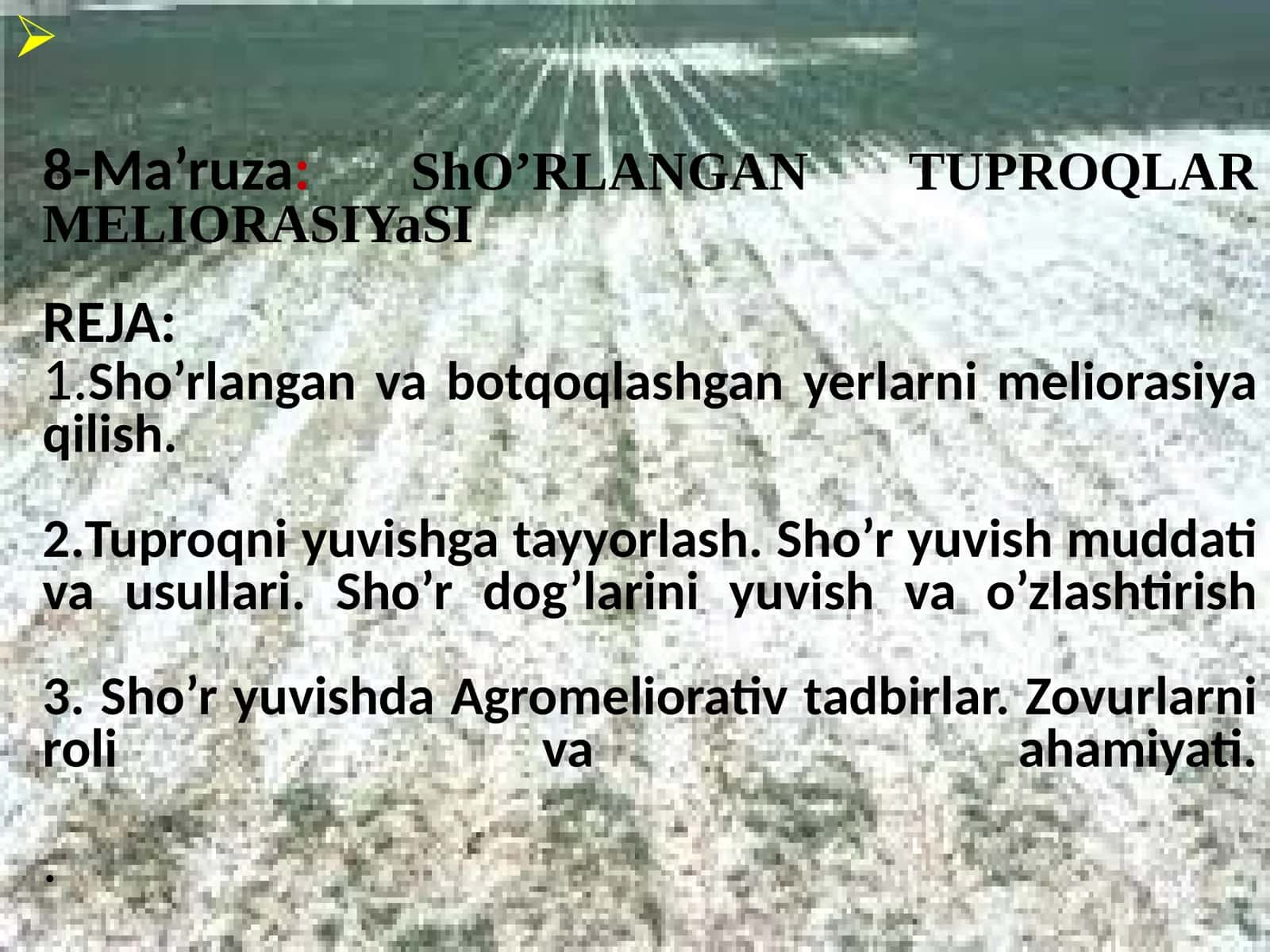 8-Ma’ruza:ShO’RLANGANTUPROQLARMELIORASIYaSIREJA:1.Sho’rlanganvabotqoqlashganyerlarnimeliorasiyaqilish.2.Tuproqniyuvishgatayyorlash.Sho’ryuvishmuddativausullari.Sho’rdog’lariniyuvishvao’zlashtirish3.Sho’ryuvishdaAgromeliorativtadbirlar.Zovurlarnirolivaahamiyati