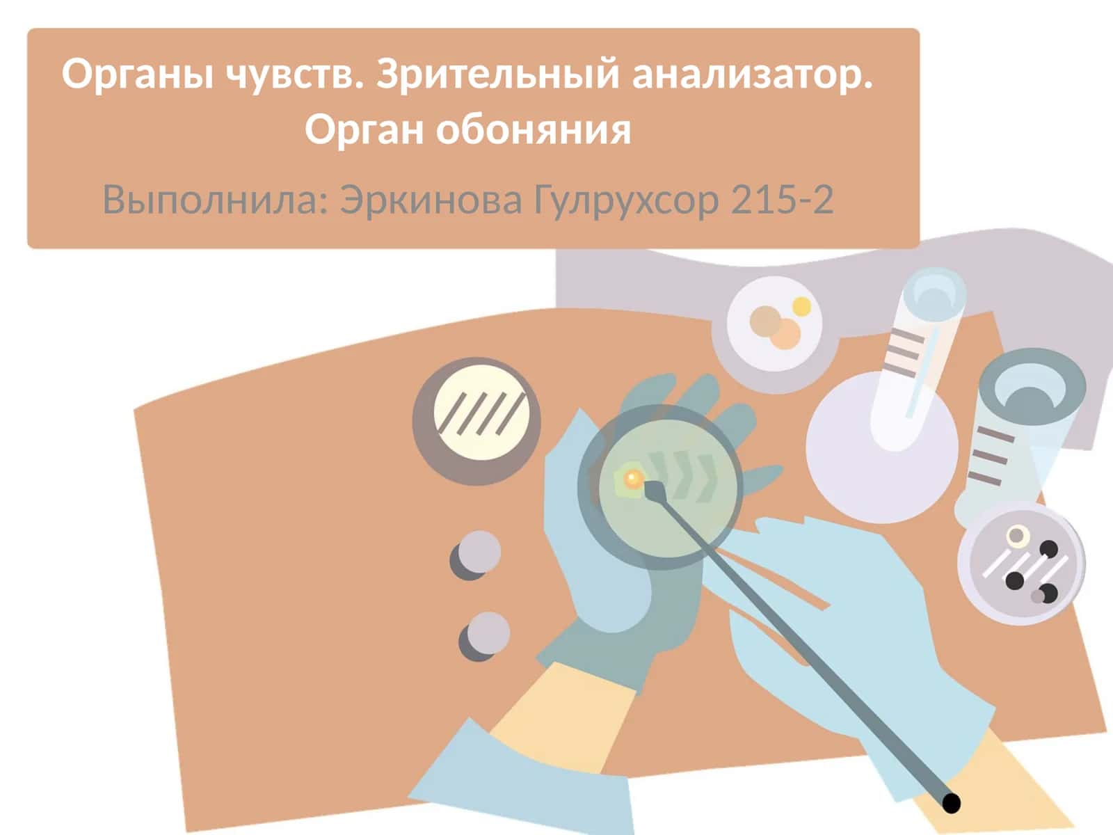 Органы чувств. Зрительный анализатор. Орган обоняния