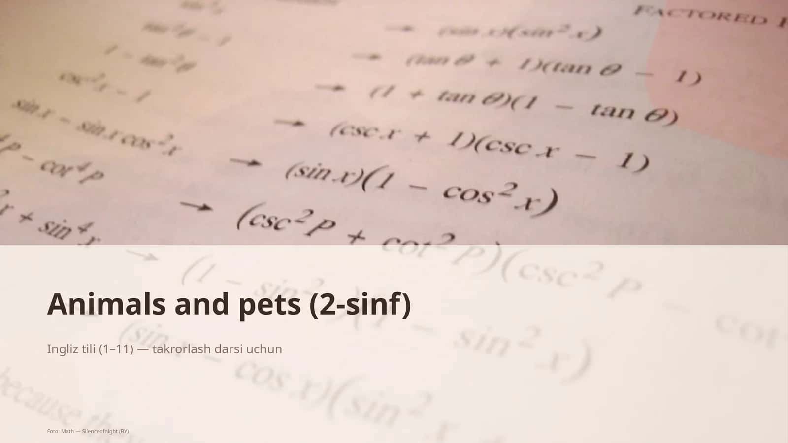 Animals and pets (2-sinf)