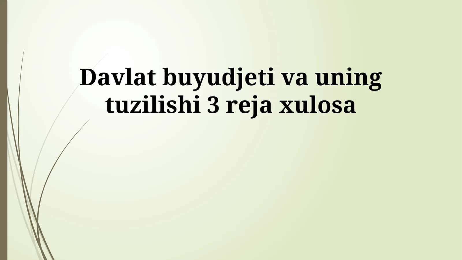 Davlat buyudjeti va uning tuzilishi