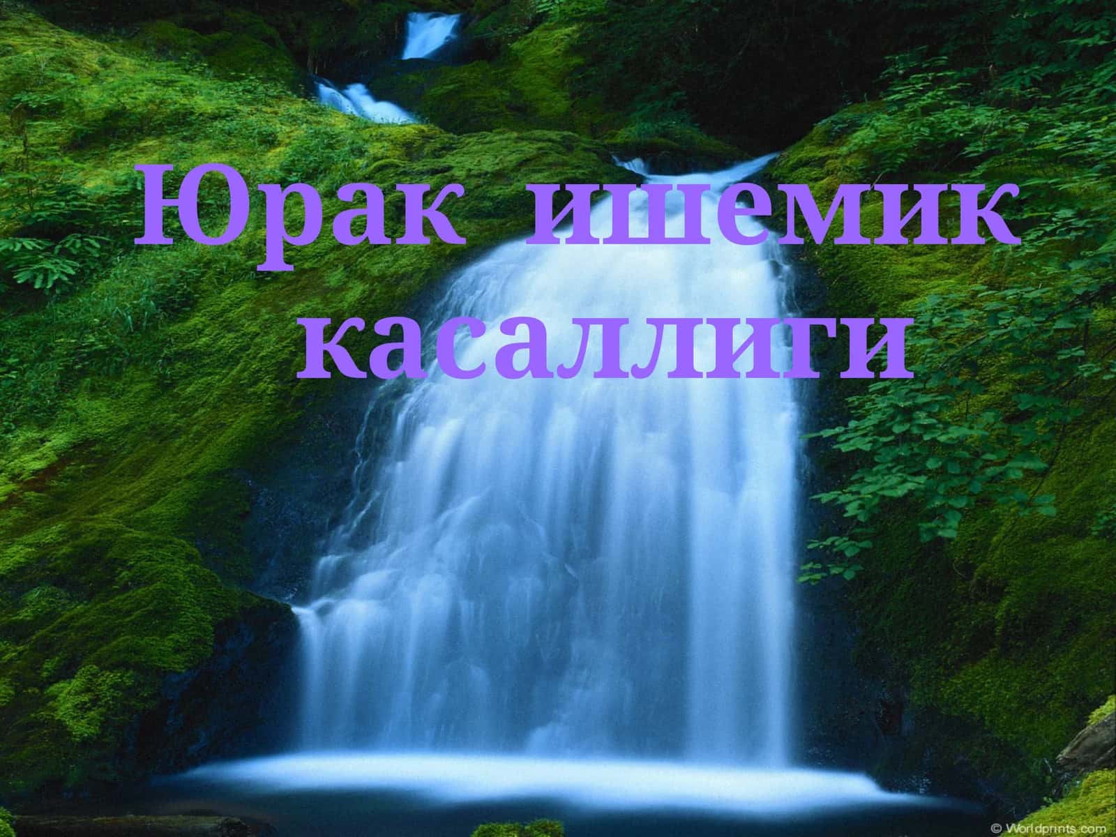 Юрак  ишемик   касаллиги
