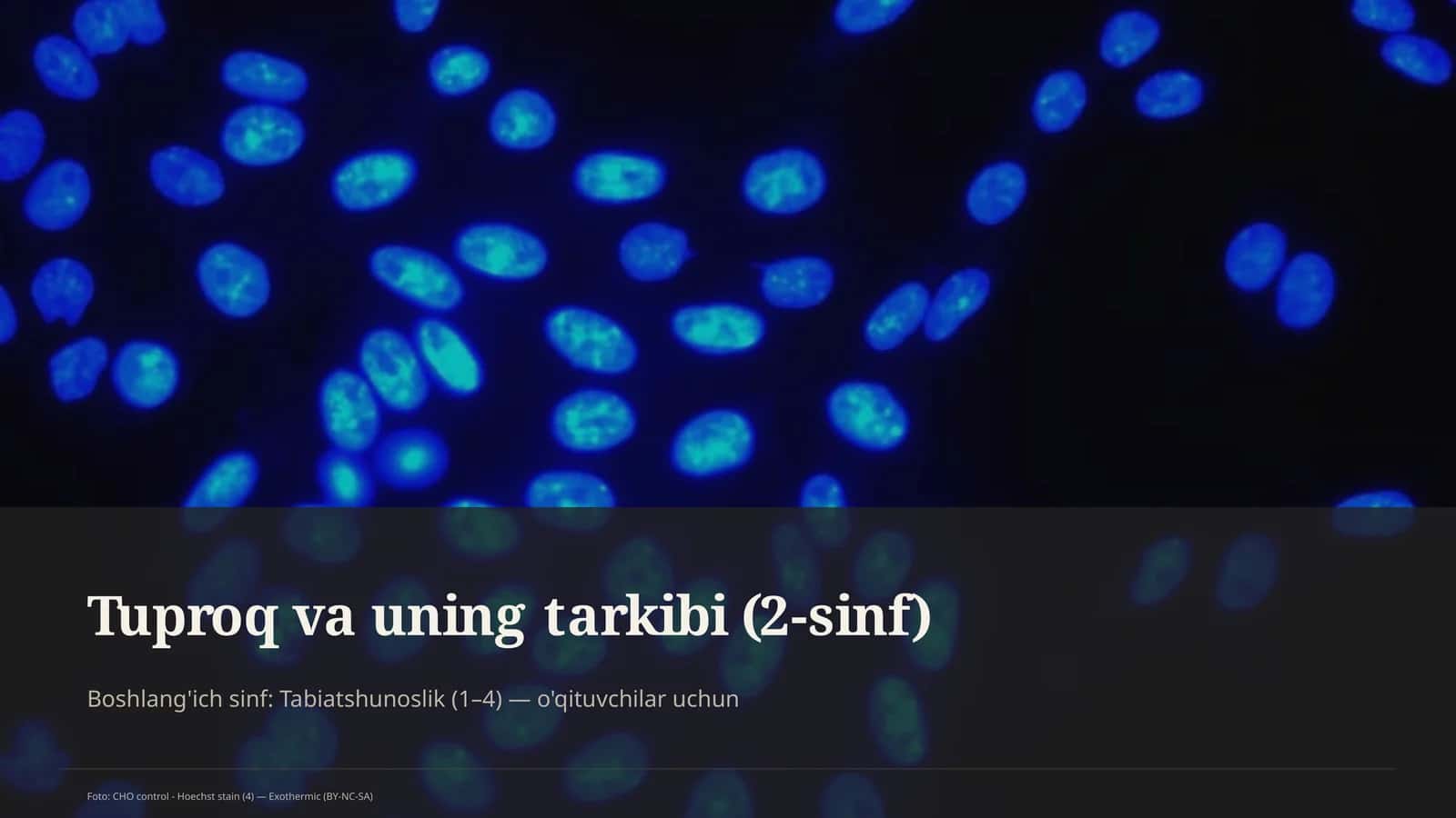 Tuproq va uning tarkibi (2-sinf)
