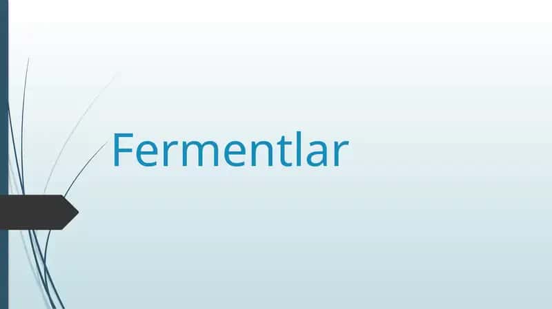 Fermentlar