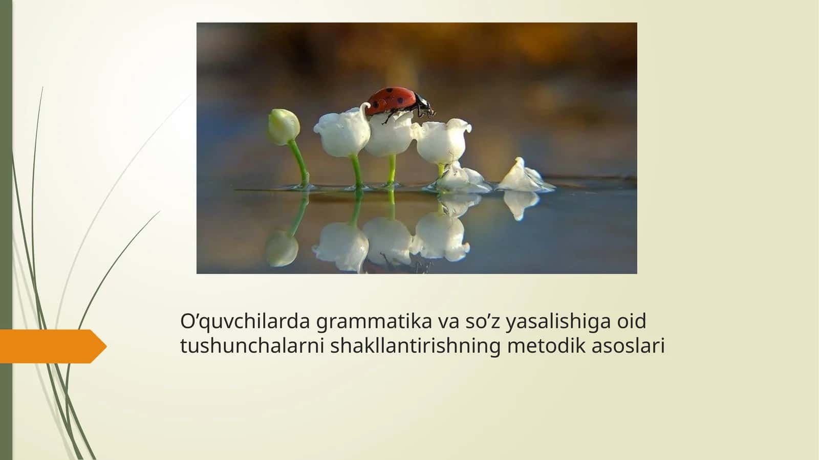 O’quvchilarda grammatika va so’z yasalishiga oid tushunchalarni shakllantirishning metodik asoslari