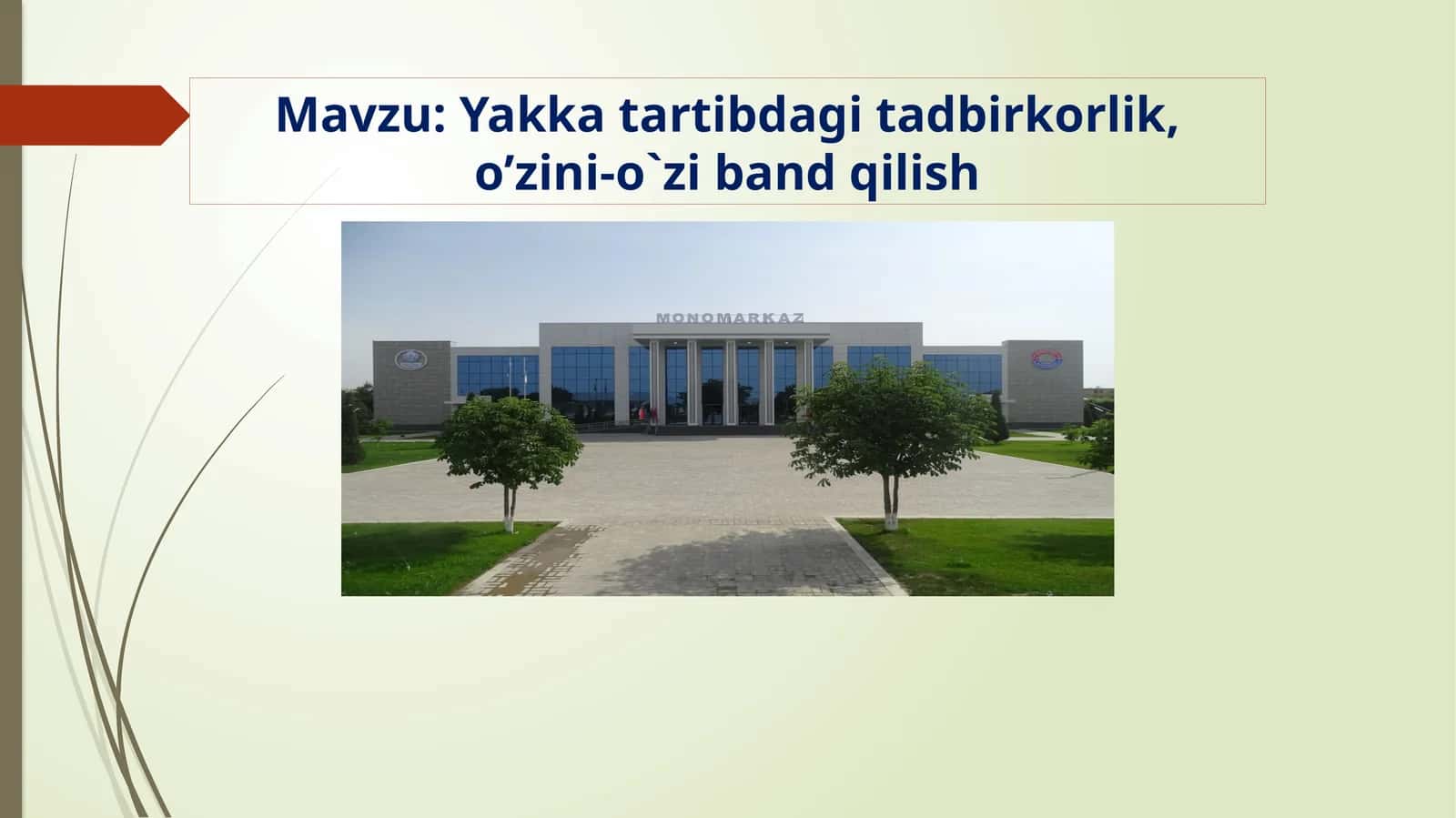 Yakka tartibdagi tadbirkorlik, o’zini-o`zi band qilish