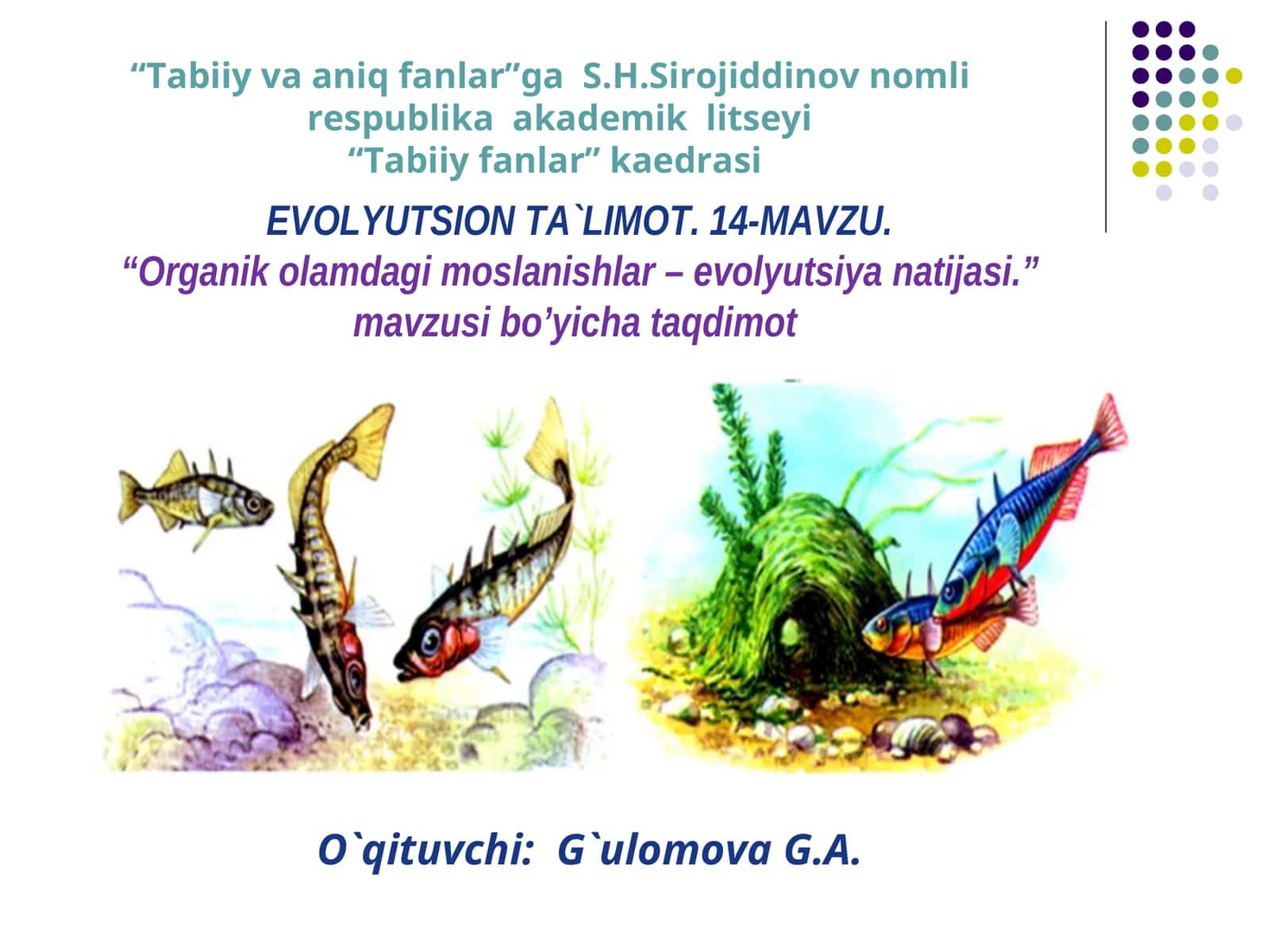 EVOLYUTSION TA`LIMOT. 14- MAWZU