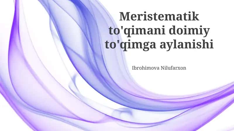 Meristematik to'qimani doimiy to'qimga aylanishi