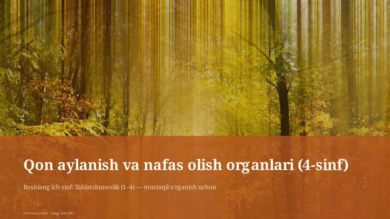 Qon aylanish va nafas olish organlari (4-sinf)