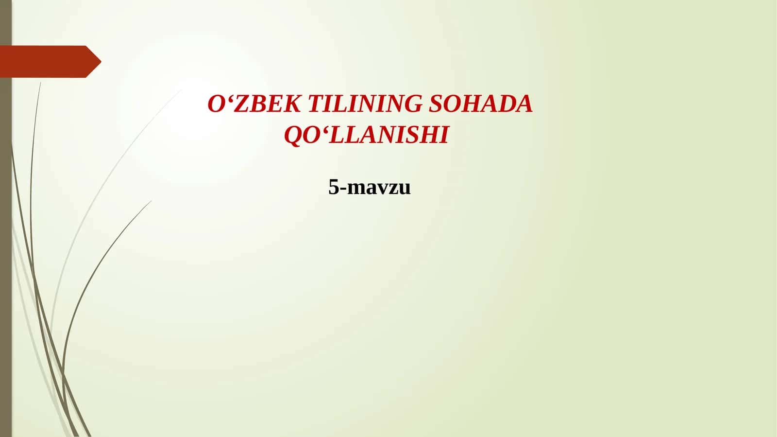 O‘ZBEK TILINING SOHADA QO‘LLANISHI5-mavzu MATN VA UNING TURLARI