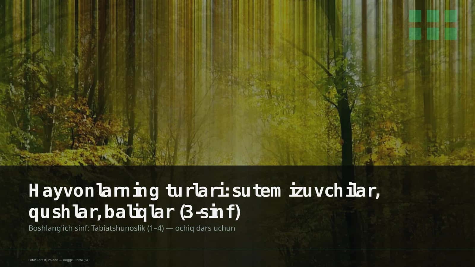 Hayvonlarning turlari: sutemizuvchilar, qushlar, baliqlar (3-sinf)
