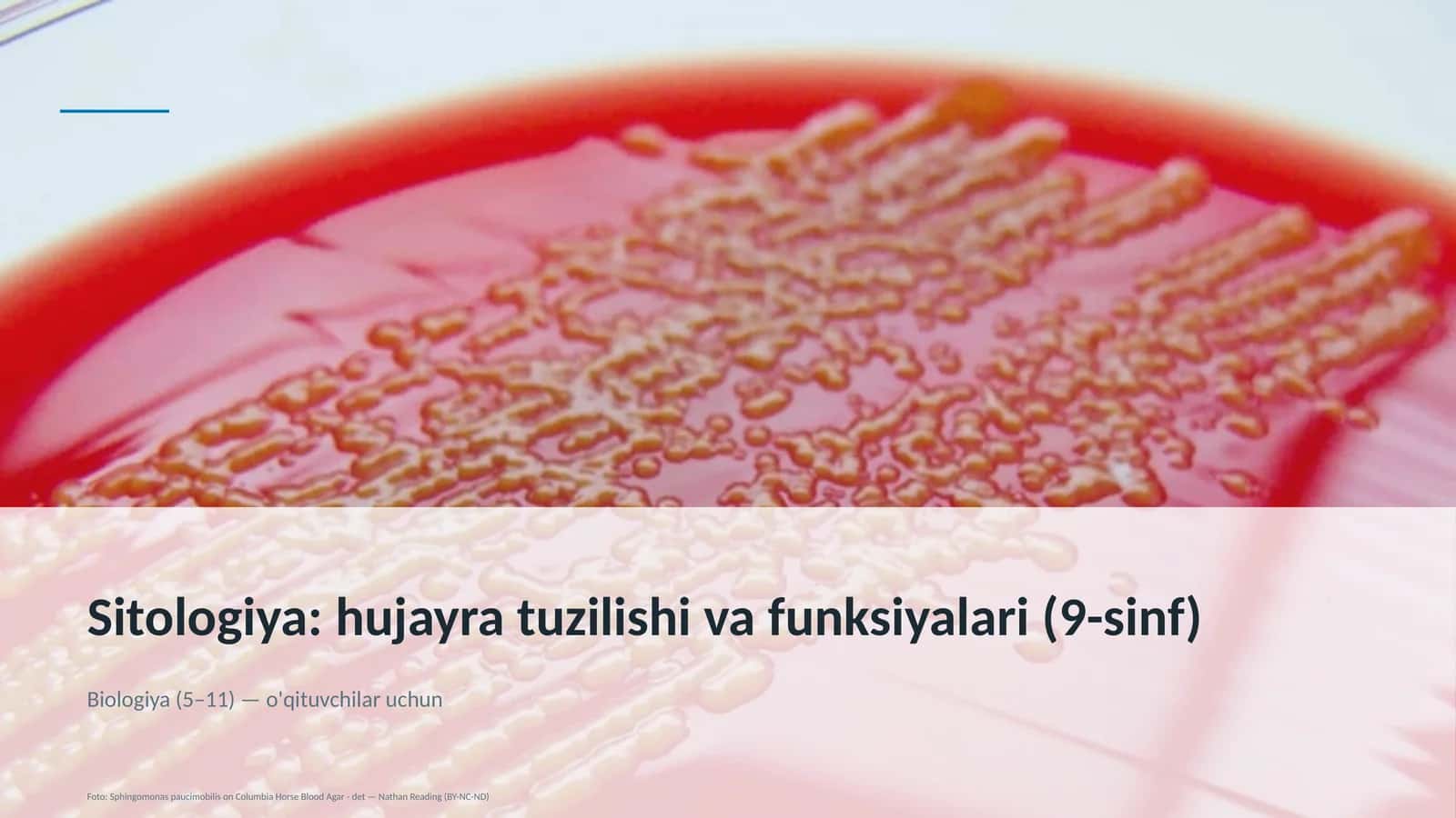 Sitologiya: hujayra tuzilishi va funksiyalari (9-sinf)