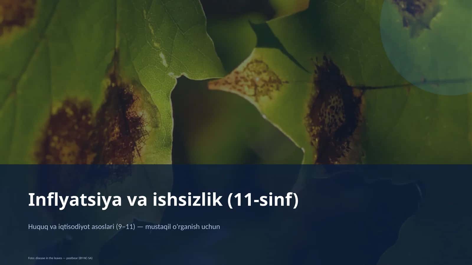 Inflyatsiya va ishsizlik (11-sinf)