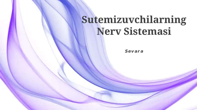 Sutemizuvchilarning Nerv Sistemasi