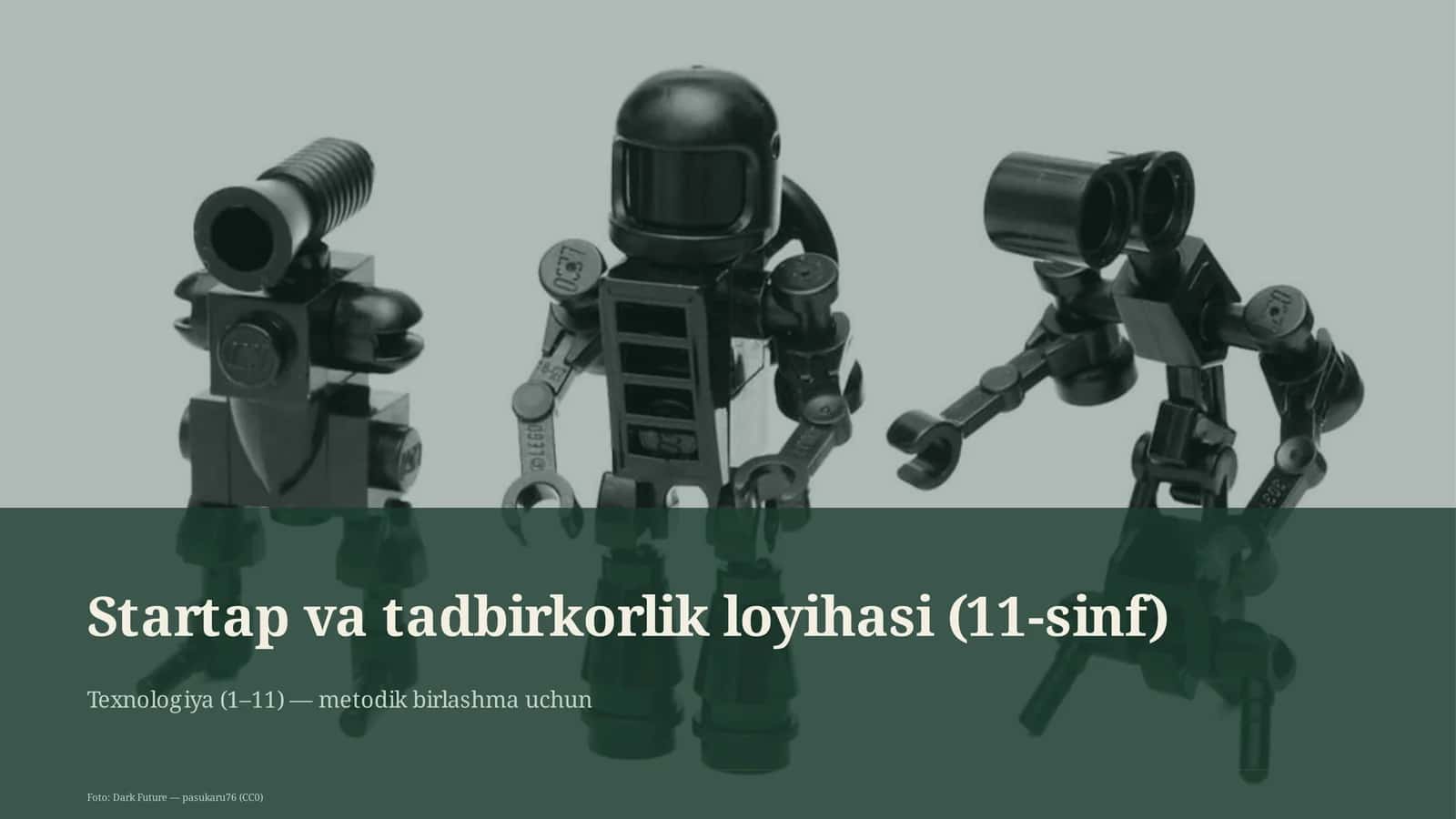 Startap va tadbirkorlik loyihasi (11-sinf)