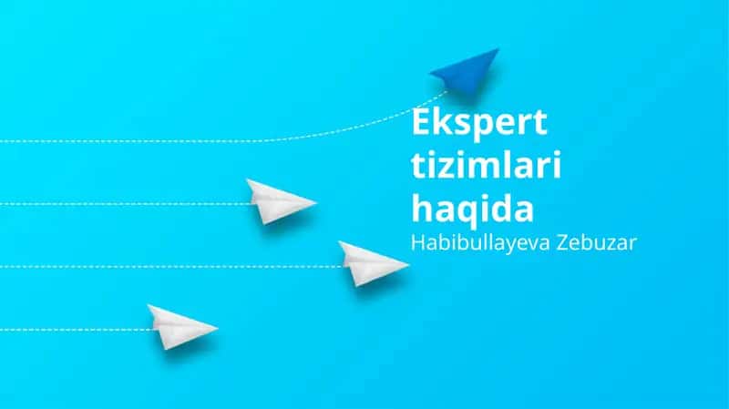 Ekspert tizimlari haqida