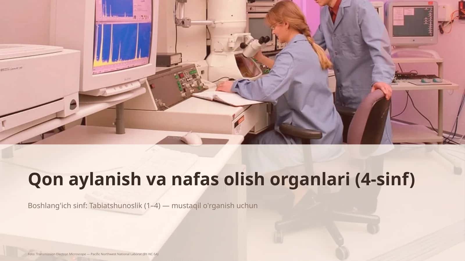 Qon aylanish va nafas olish organlari (4-sinf)