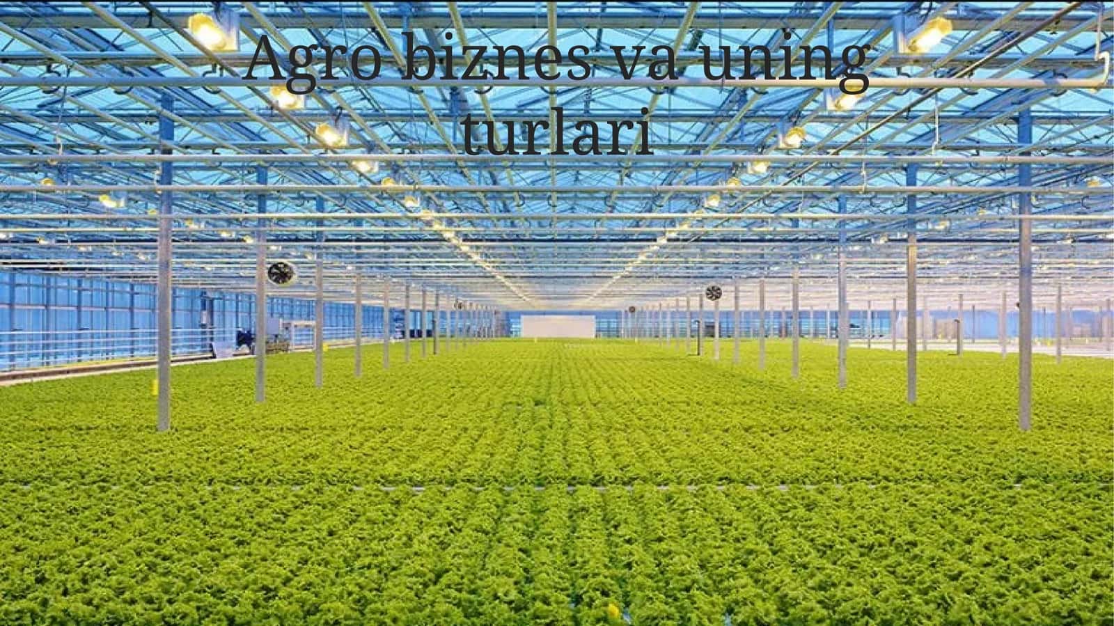 Agro biznes va uning turlari