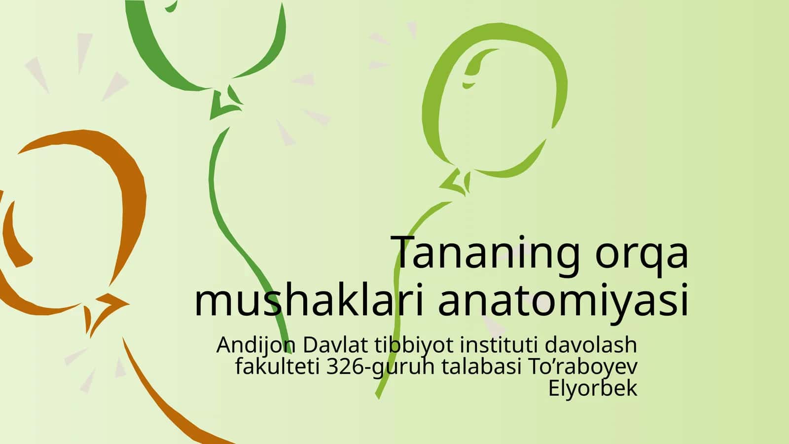 Tananing o'rga mushaklari anatomiyasi