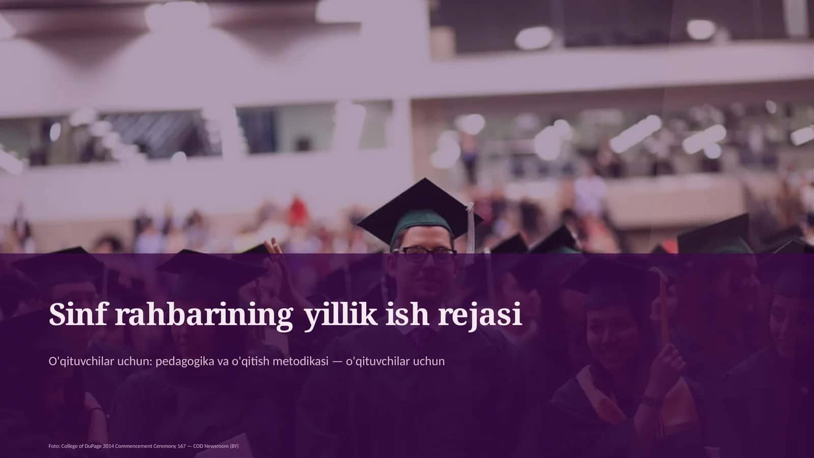 Sinf rahbarining yillik ish rejasi