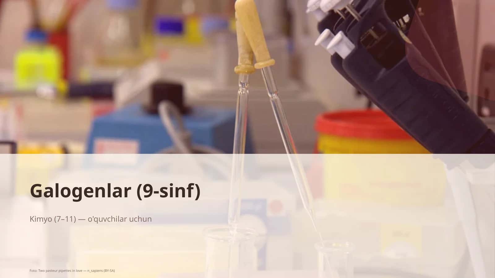 Galogenlar (9-sinf)
