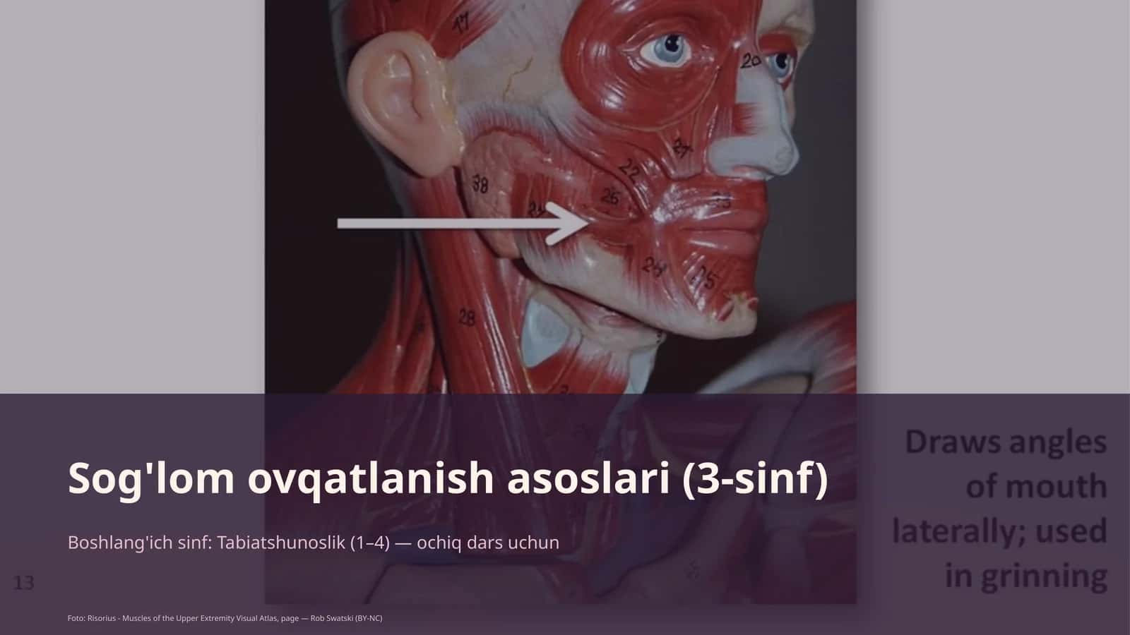Sog'lom ovqatlanish asoslari (3-sinf)