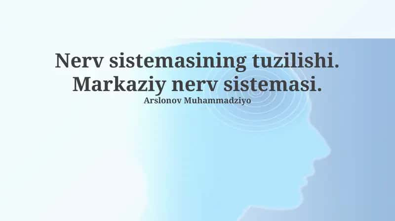 Nerv sistemasining tuzilishi