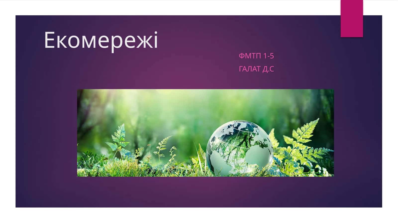 Екомережі