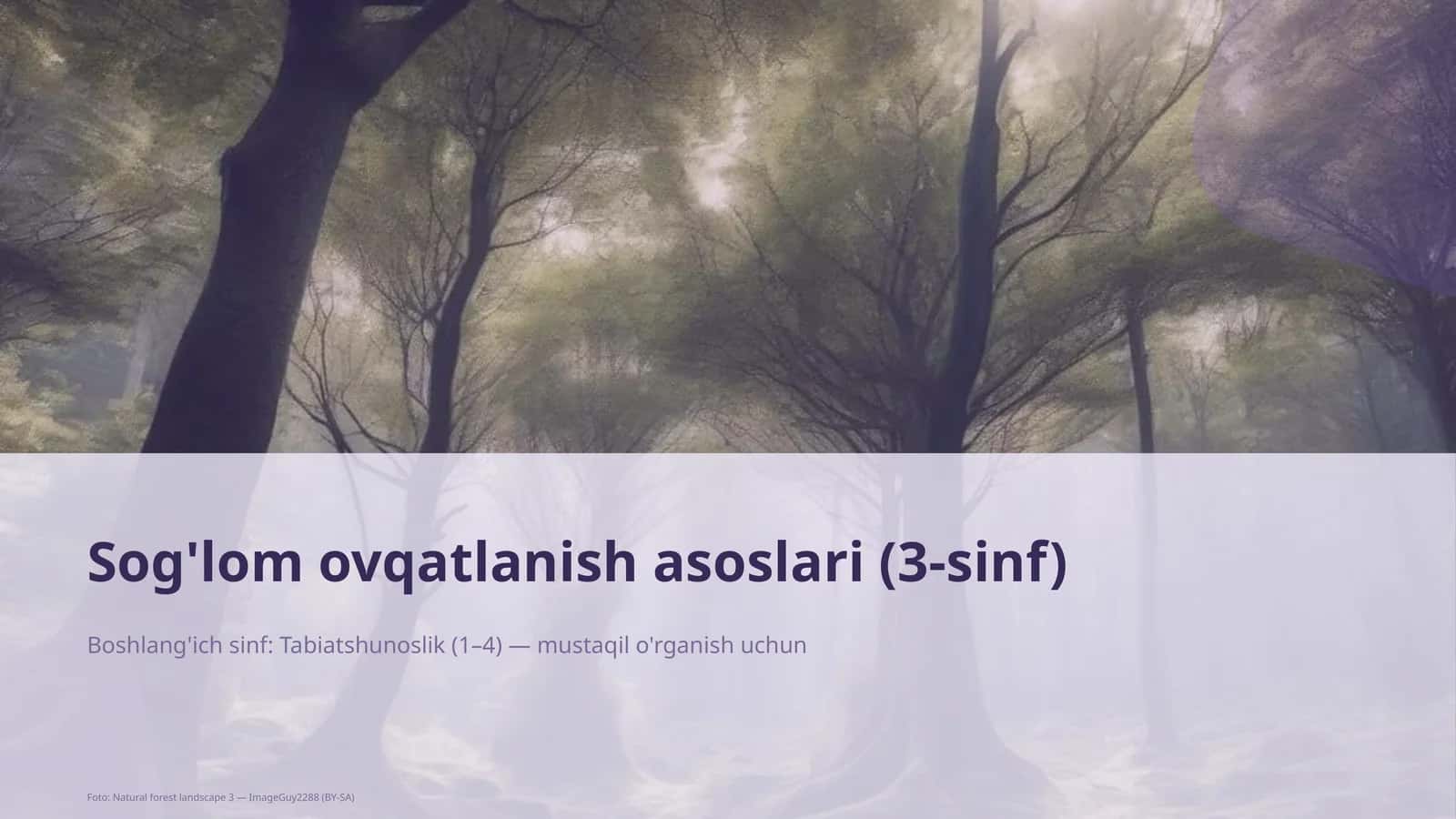 Sog'lom ovqatlanish asoslari (3-sinf)