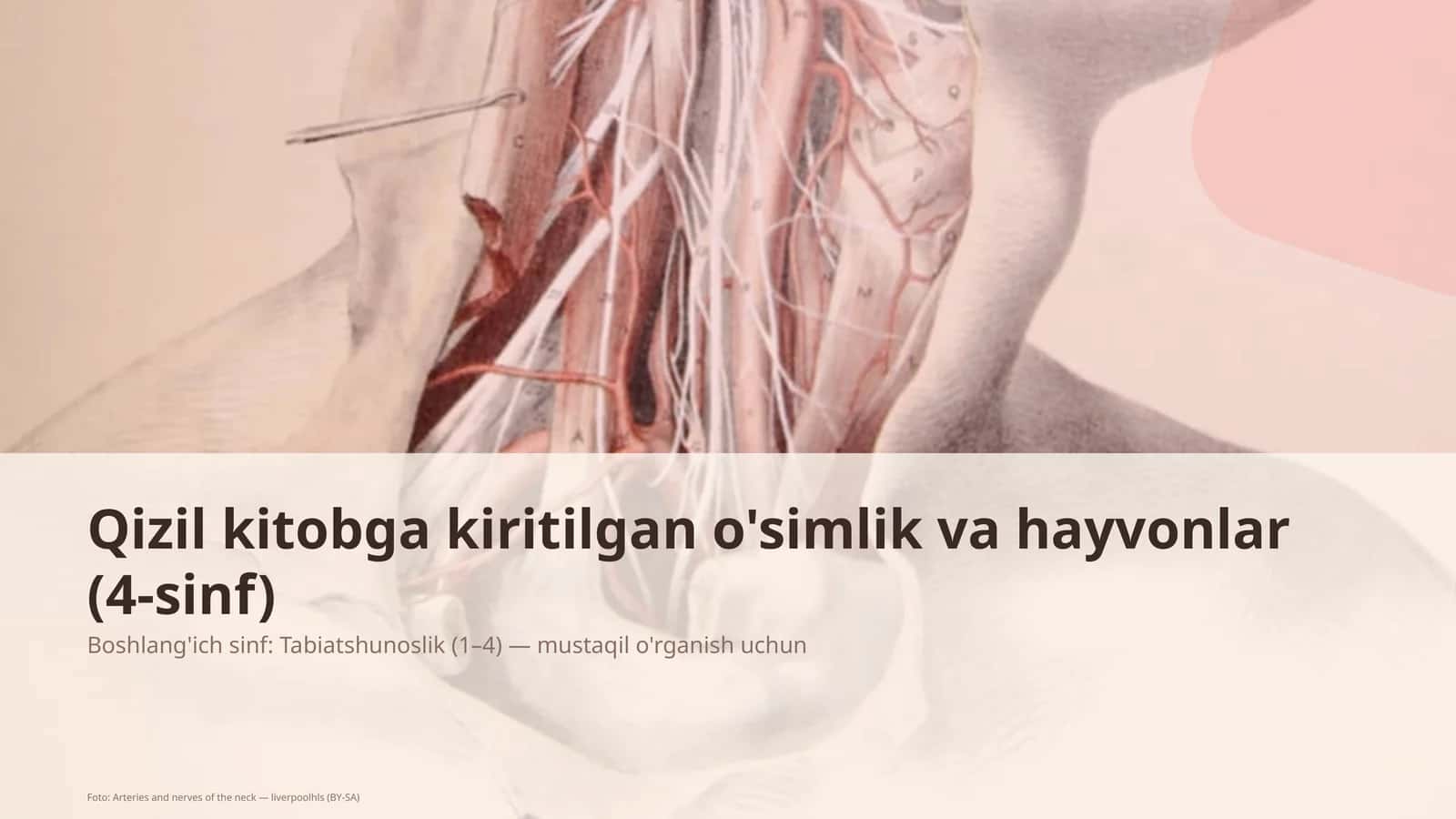 Qizil kitobga kiritilgan o'simlik va hayvonlar (4-sinf)