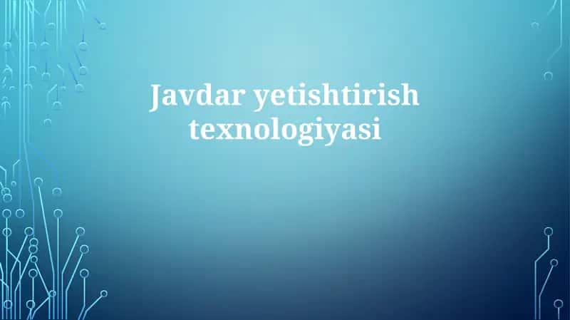 Javdaryetishtirishtexnologiyasi