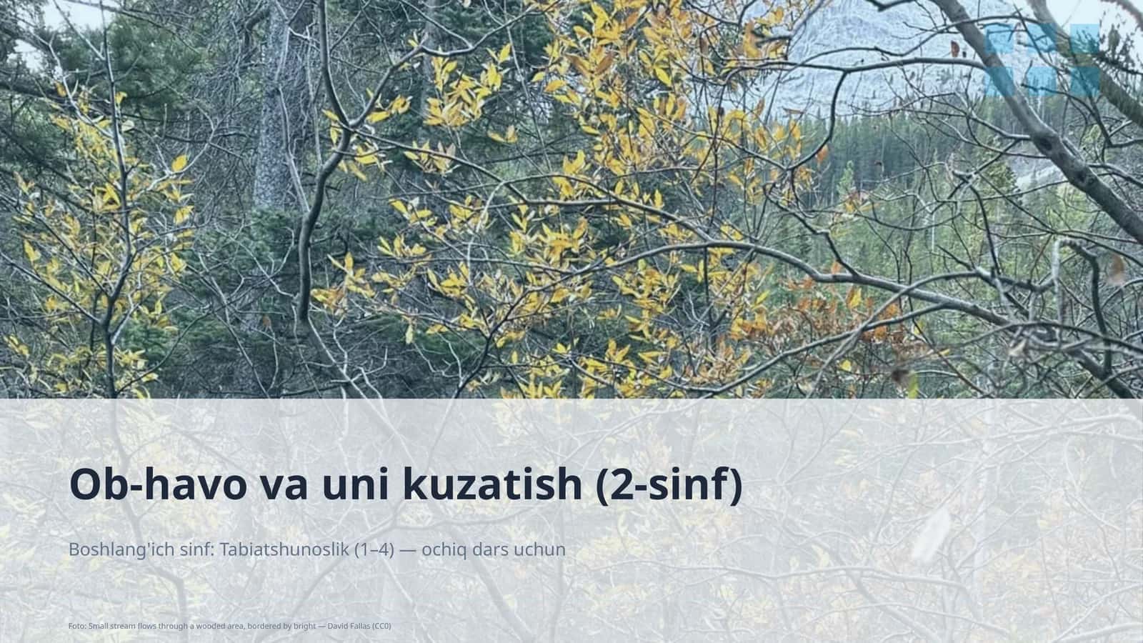 Ob-havo va uni kuzatish (2-sinf)
