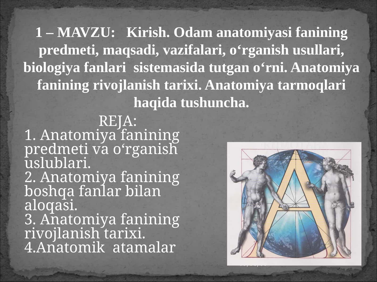 Odam anatomiyasi