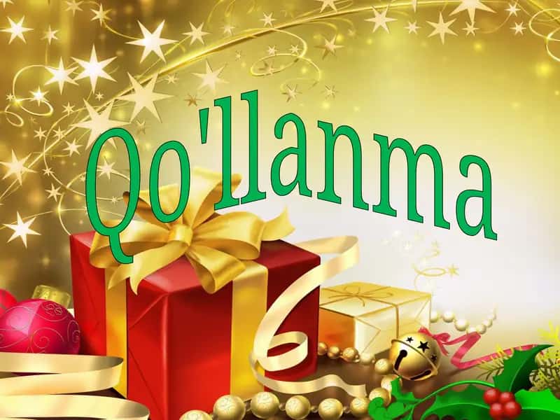 Qo'llanma